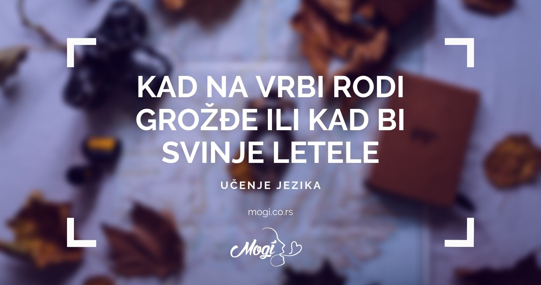 Učenje fraza iz engleskog jezika u online školi Mogi Beograd